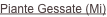 shapeimage_3_link_0